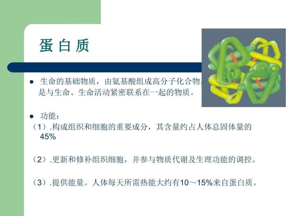 营养与健康之营养基础ppt课件_第5页