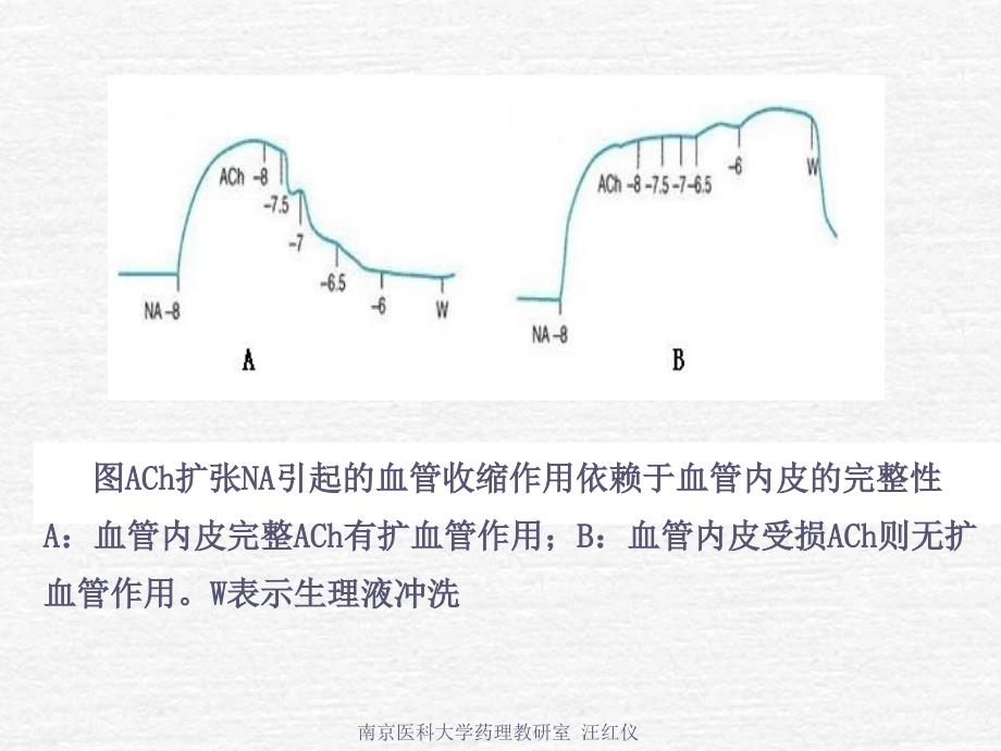 拟副交感神经药ppt课件_1_第4页