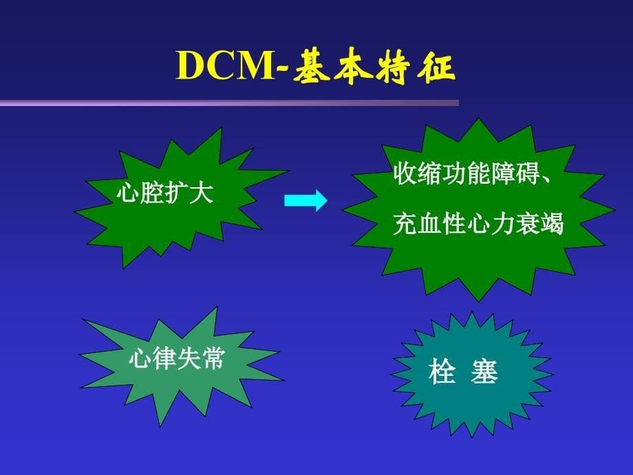 心肌疾病教学课件_第5页