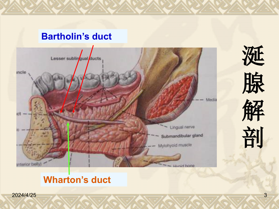 涎腺疾病课件(1)_第3页