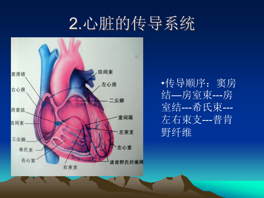 院内规培心电图讲课ppt课件_第4页