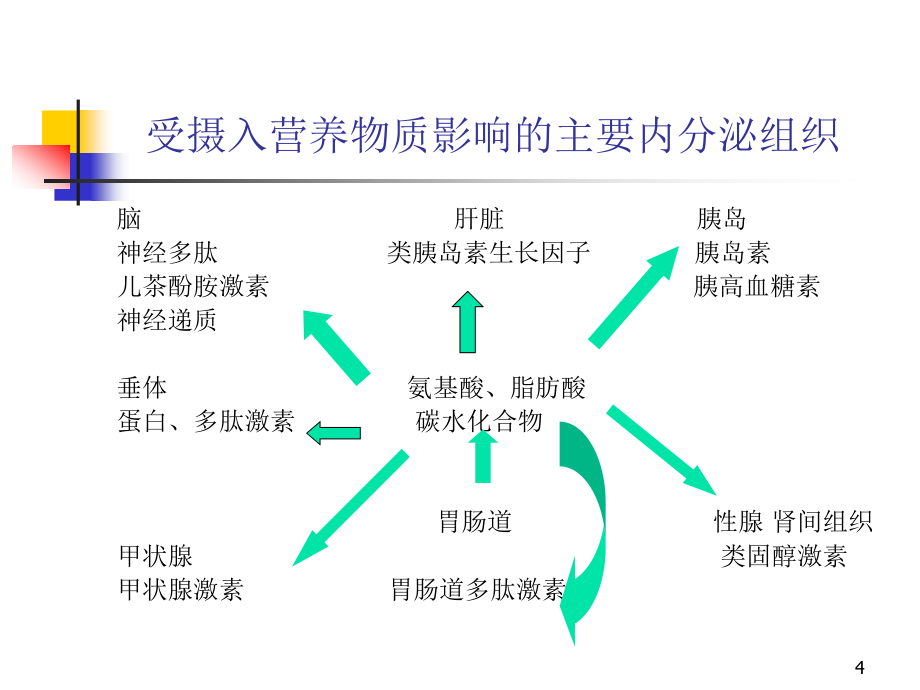 营养与内分泌激素ppt课件_第4页