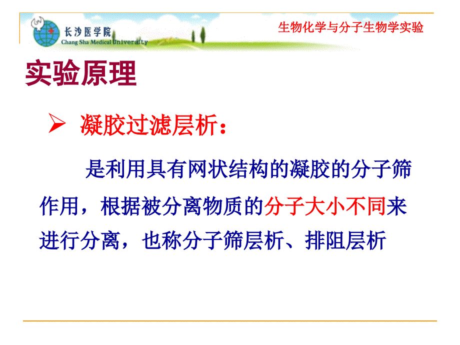 实验八凝胶过滤分离高铁血红蛋白与高铁氰化钾_第3页