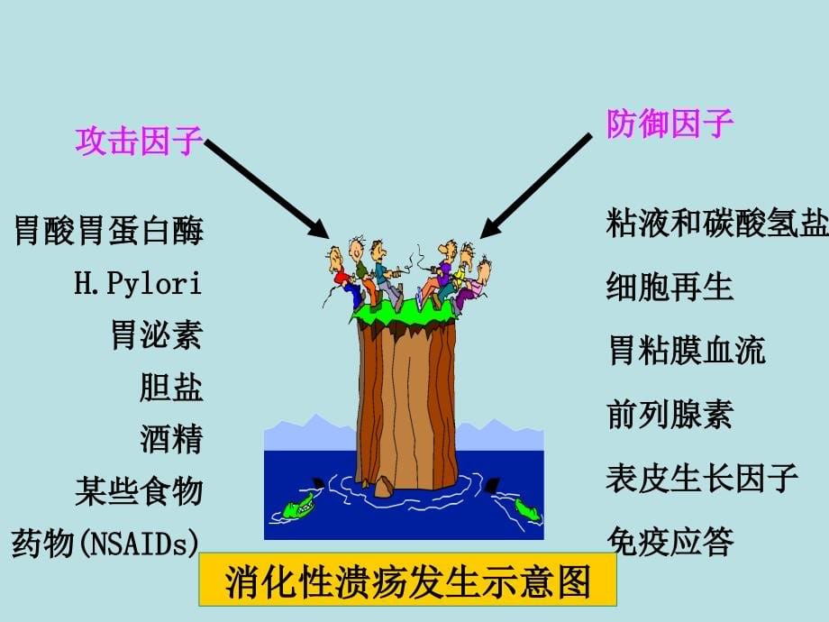 消化系统药物ppt课件_第5页