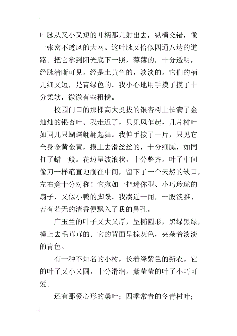 秋天的树叶五年级关于描写秋天的作文征文500字_第2页