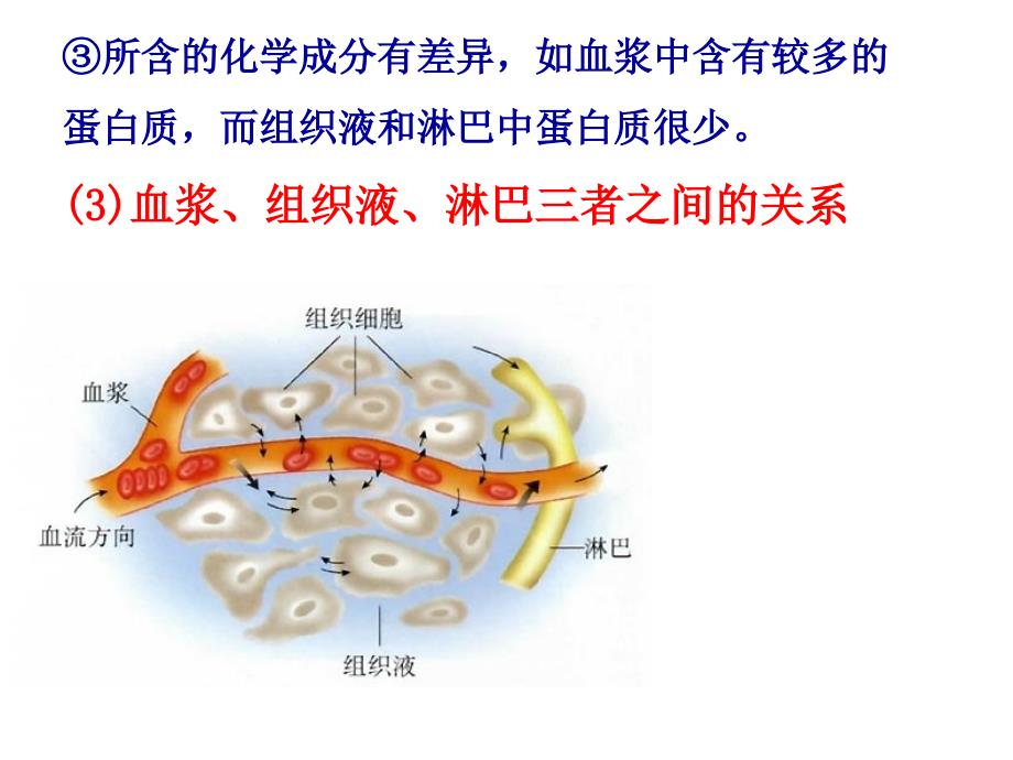 人教版教学课件生物高考复习内环境与稳态_第4页