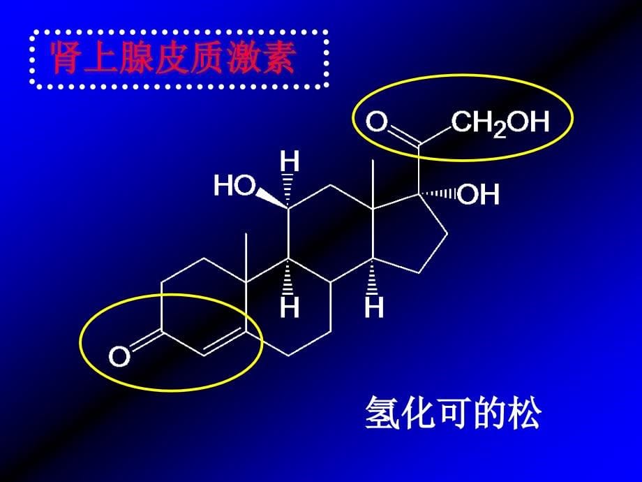 药物分析ppt课件_1_第5页