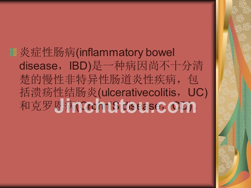 炎症性肠病诊断与治疗的ppt课件_第2页