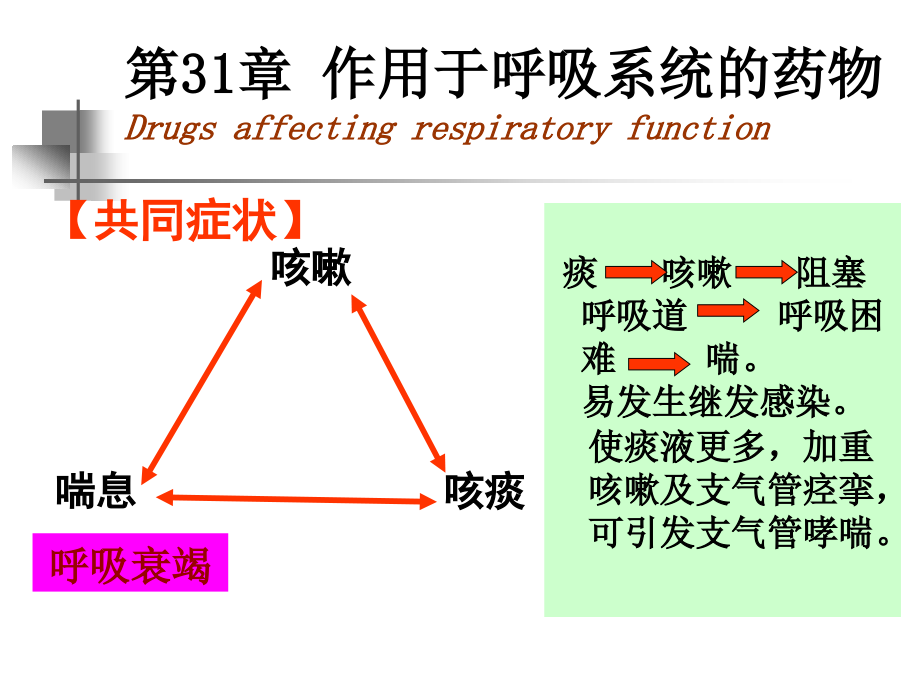 麻醉专业呼吸消化和子宫平滑肌ppt课件_第2页