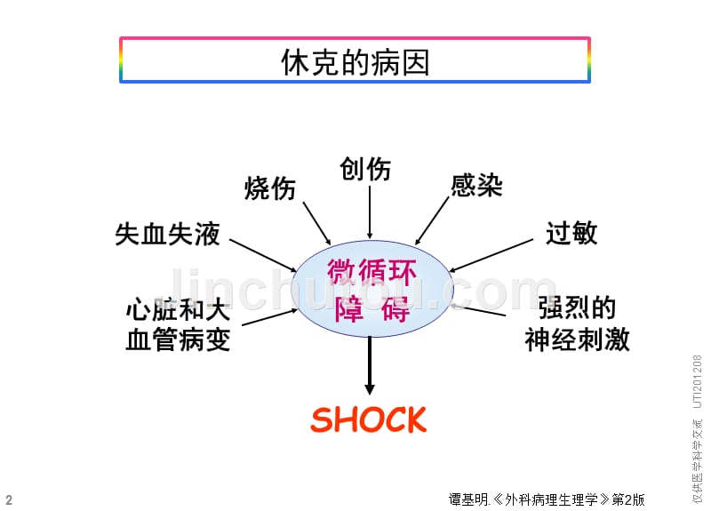 在休克发展中的作用及抗休克展望utippt课件(1)_第2页