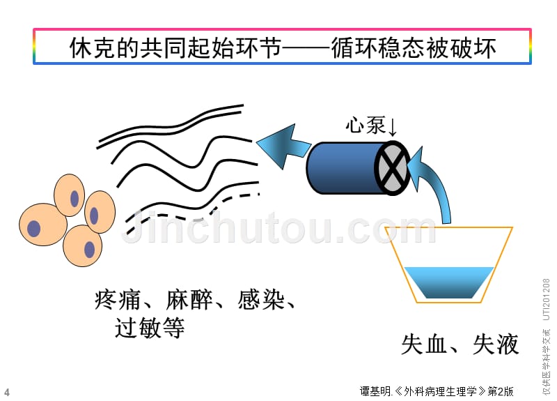 在休克发展中的作用及抗休克展望utippt课件(1)_第4页