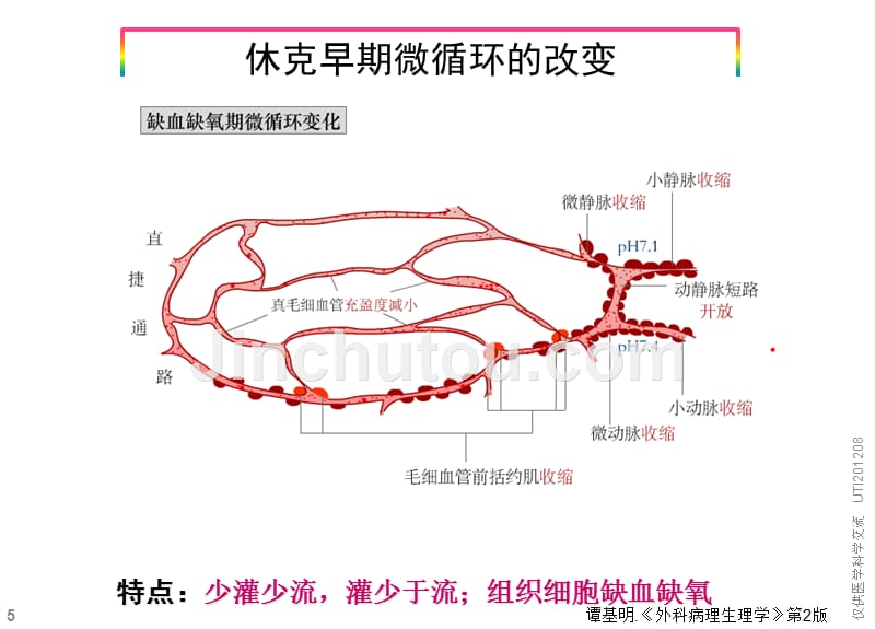 在休克发展中的作用及抗休克展望utippt课件(1)_第5页