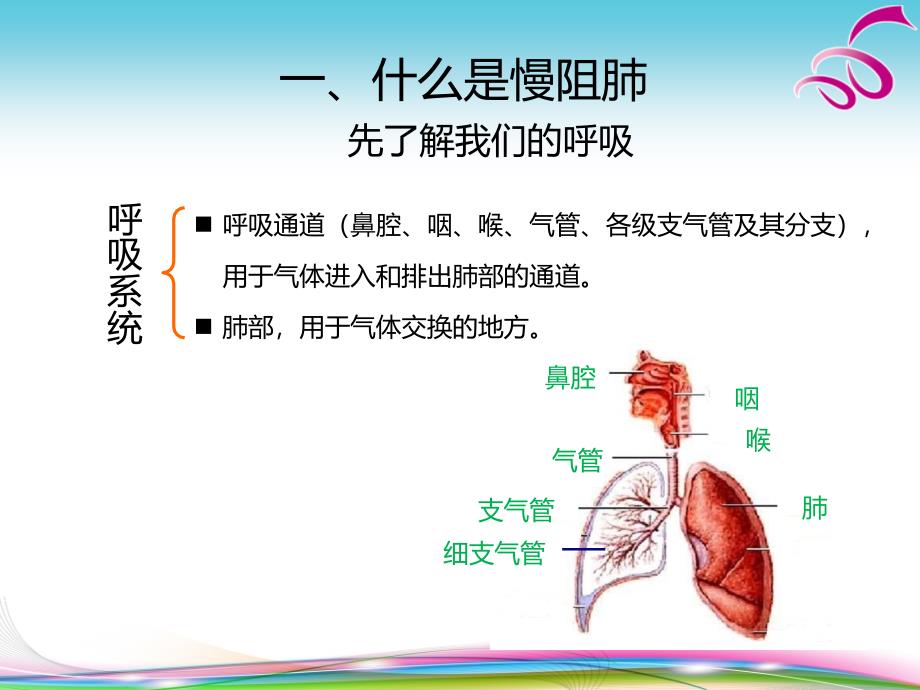 慢阻肺健康教育ppt课件_第4页