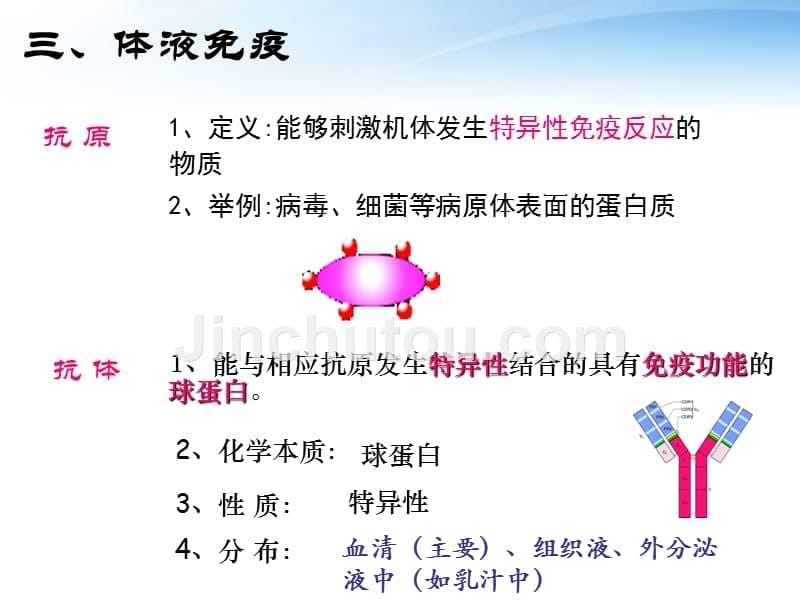 免疫调节第一课时ppt课件_第5页