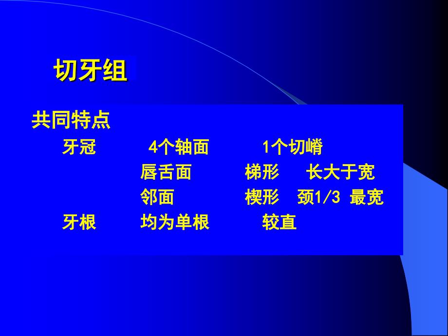 口腔解剖学上颌切牙_第3页