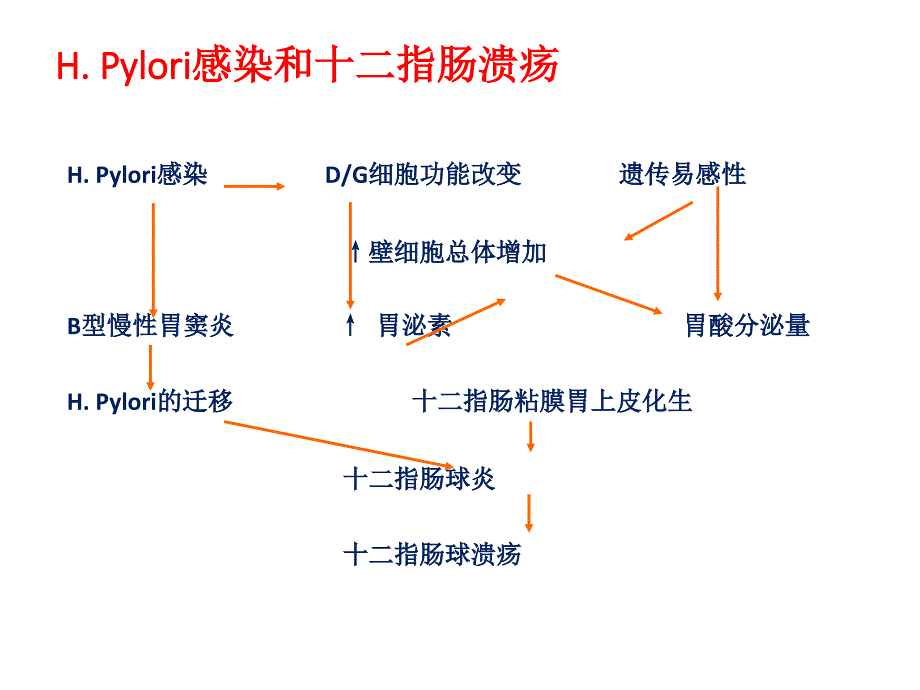 幽门螺杆菌检测ppt课件_第4页