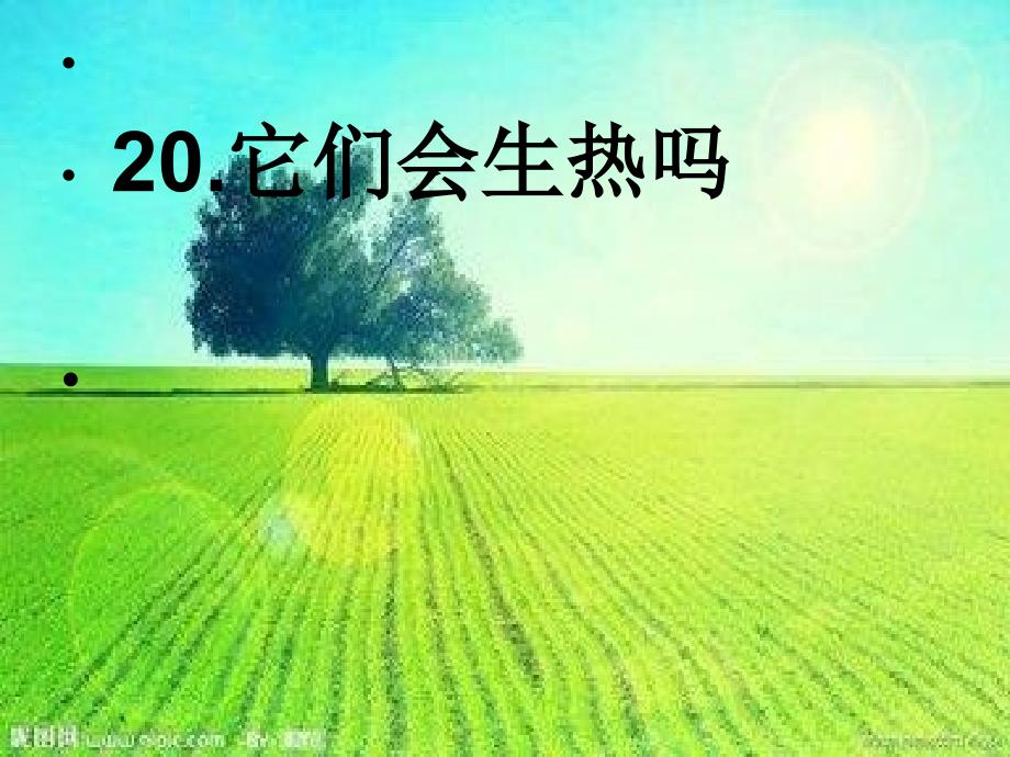 小学四上科学20《它们会生热吗》_第1页