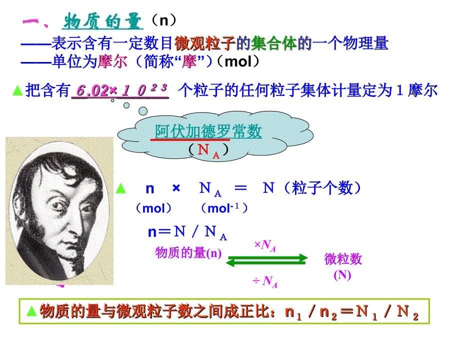 化学必修一第一章第二节《化学计量在实验中的应用》课件_第5页