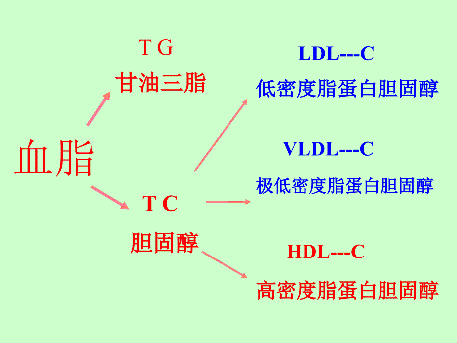 怎样清洗血管_第3页