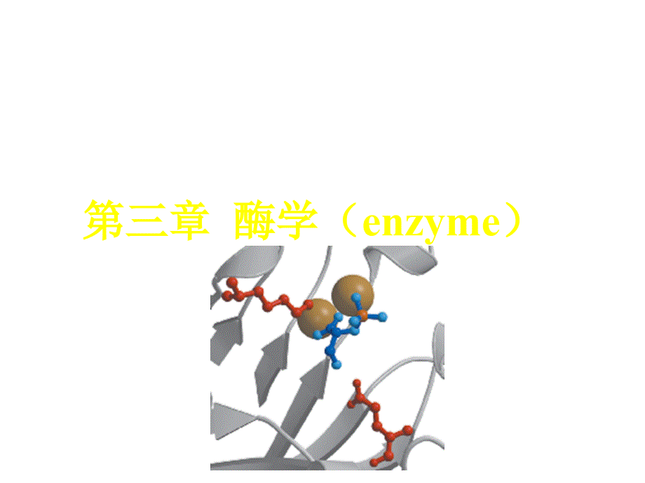 酶第一节第四节ppt课件_第1页