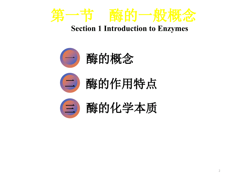 酶第一节第四节ppt课件_第2页