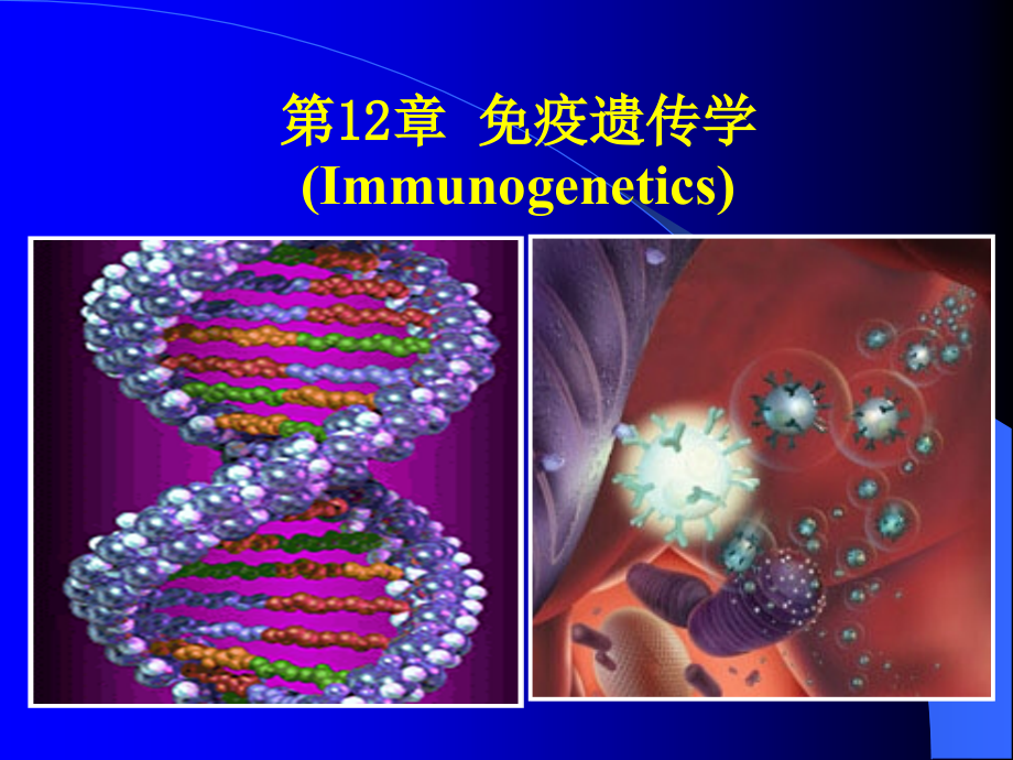 医学遗传学免疫遗传学ppt课件_第1页