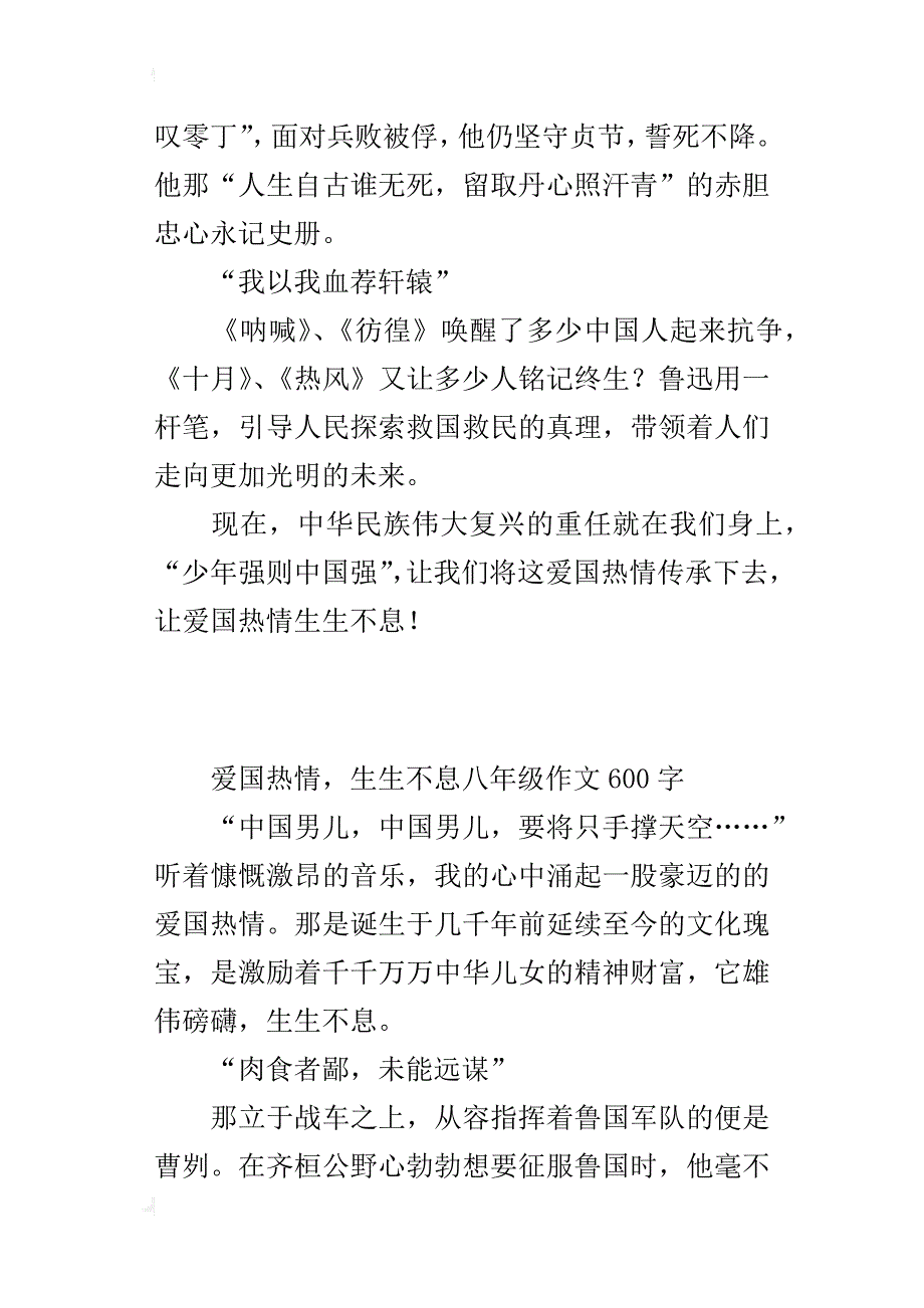 爱国热情，生生不息八年级作文600字_第4页