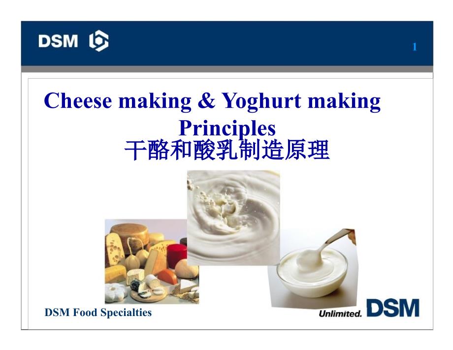干酪和酸乳制造原理DSM_第1页