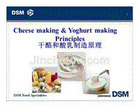 干酪和酸乳制造原理DSM