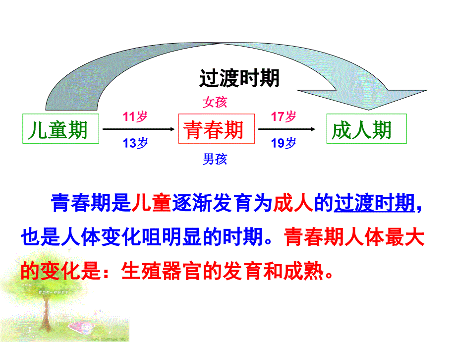 走向成熟ppt课件_第4页