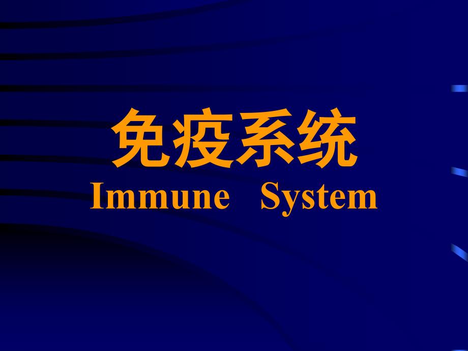 免疫系统组织胚胎学教学课件(1)_第1页