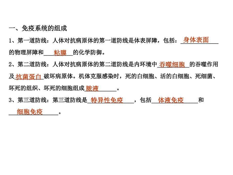 免疫系统的结构与功能ppt课件_第2页