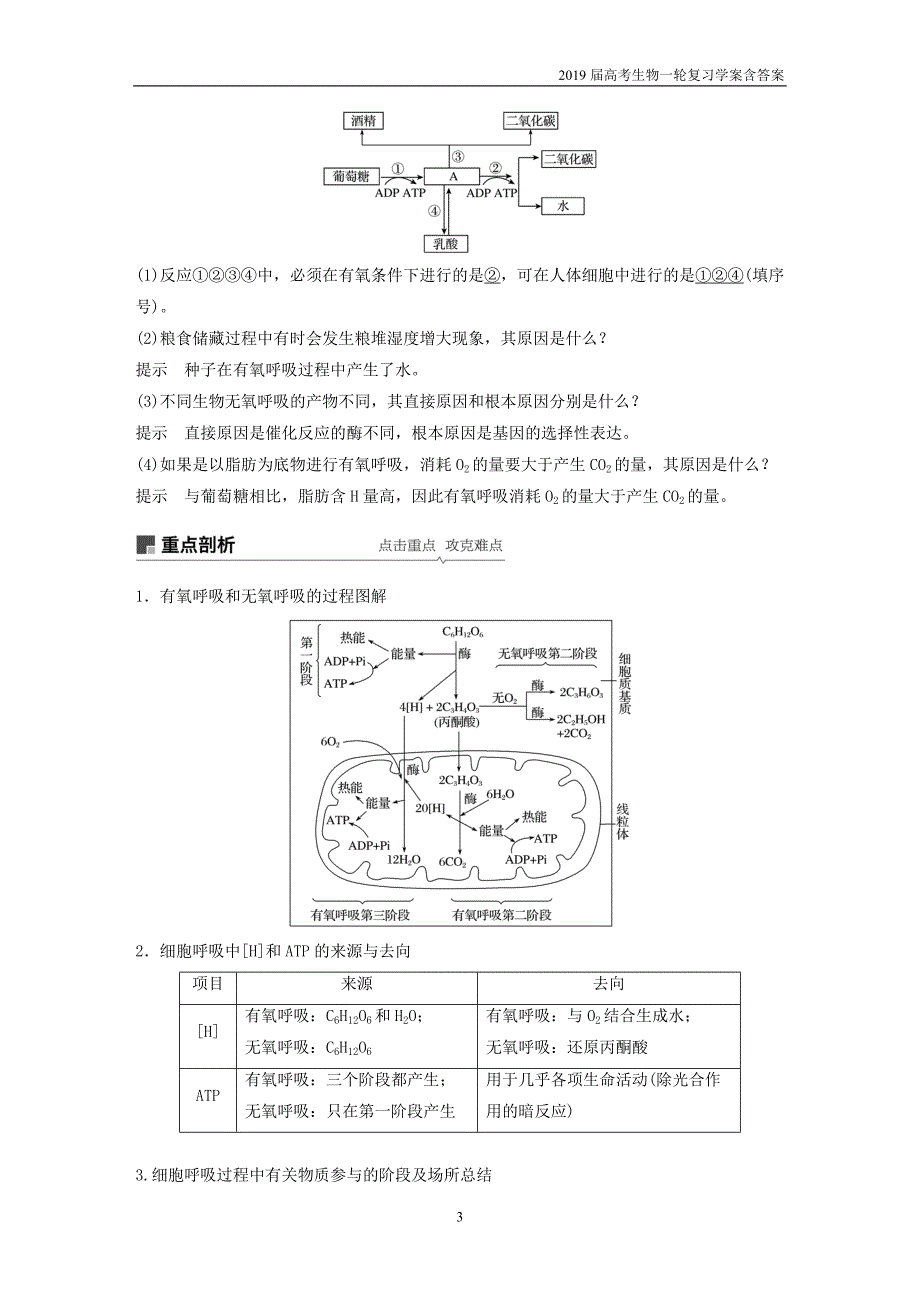 2019届高考高三生物总复习第8讲-细胞呼吸学案含答案_第3页