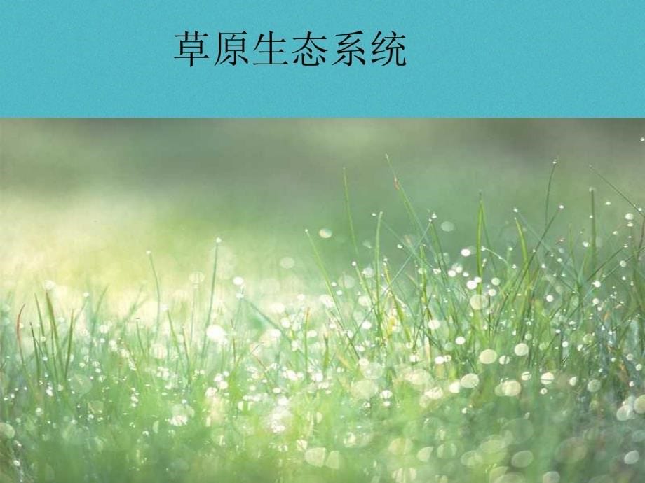 安徽省合肥市长丰县七年级生物上册1.2.3《生物圈是最大的生态系统》课件2（新版）新人教版_第5页