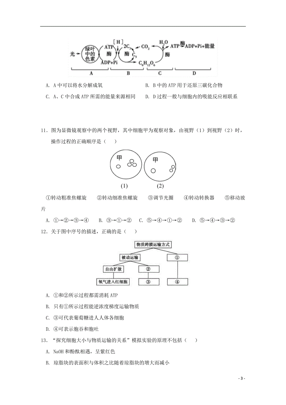 河南省商丘市第一高级中学2017-2018学年高一生物上学期期末考试试题_第3页