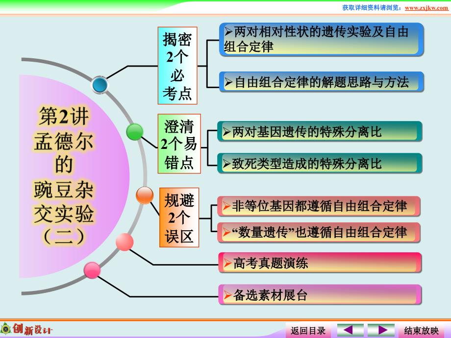 孟德尔的豌豆杂交实验（二）高中生物必修一一轮复习_第2页