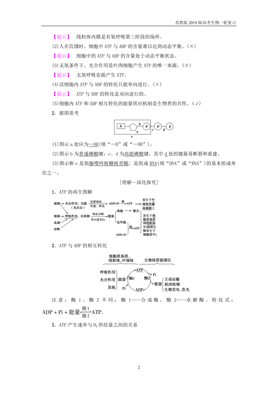 2019版高考生物一轮复习第3单元光合作用和细胞呼吸第1讲atp和酶_第2页
