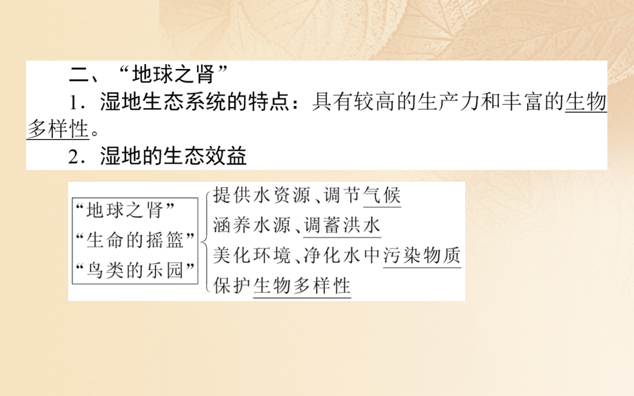 2019年高中地理一轮复习第十一章区域可持续发展第31讲湿地资源的开发与保护——以洞庭湖区为例课件_第3页