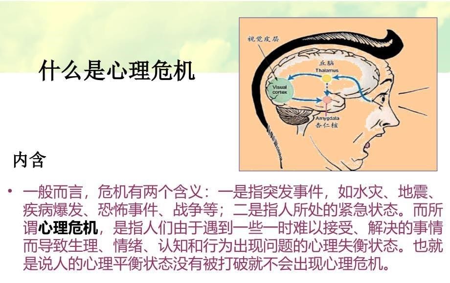 第七章大学生的心理问题与防治(二)刘险得_第5页