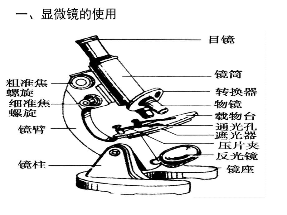 高中生物必修一第一章复习_第5页