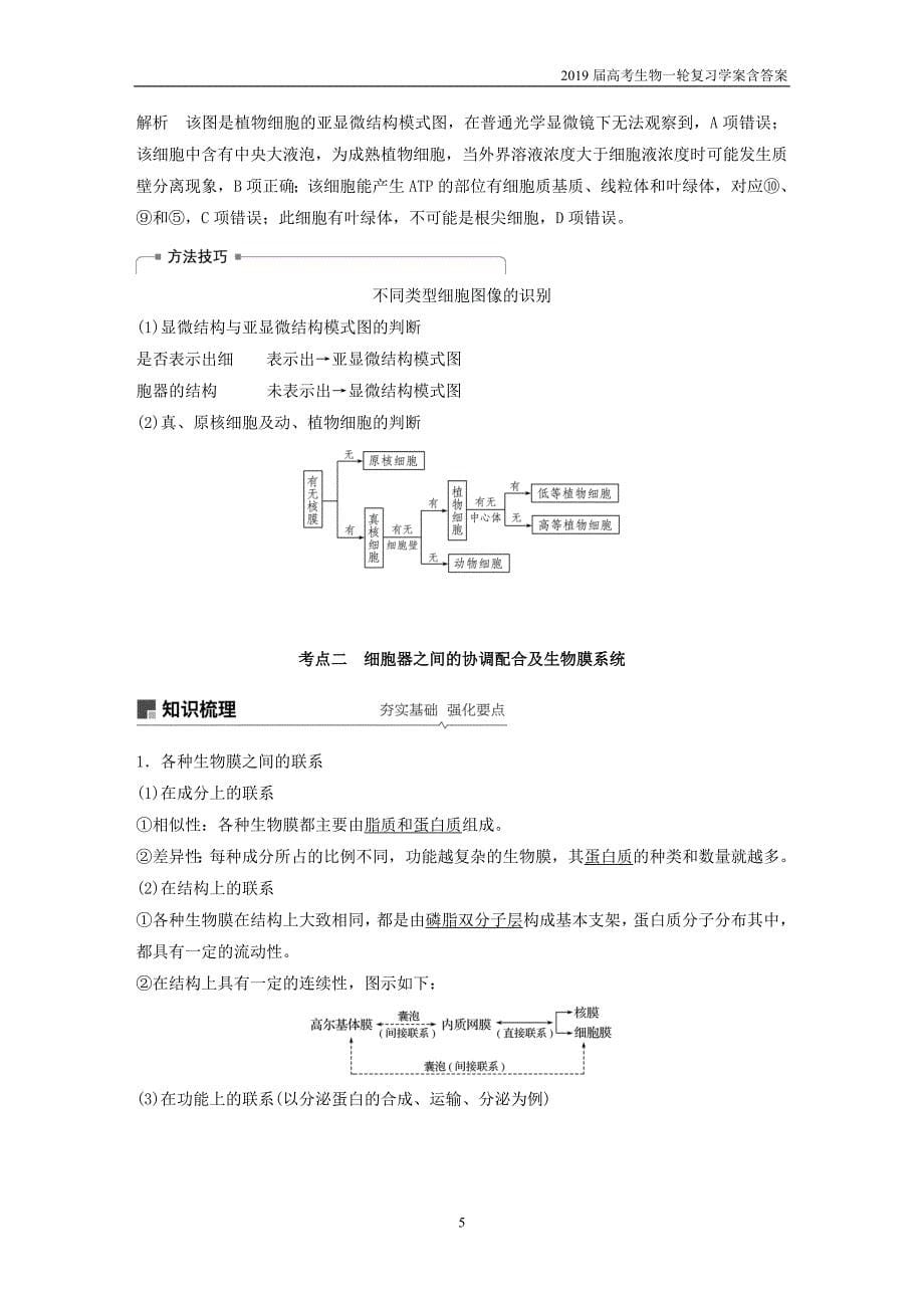 2019届高考高三生物总复习第5讲-细胞器和生物膜系统学案含答案_第5页