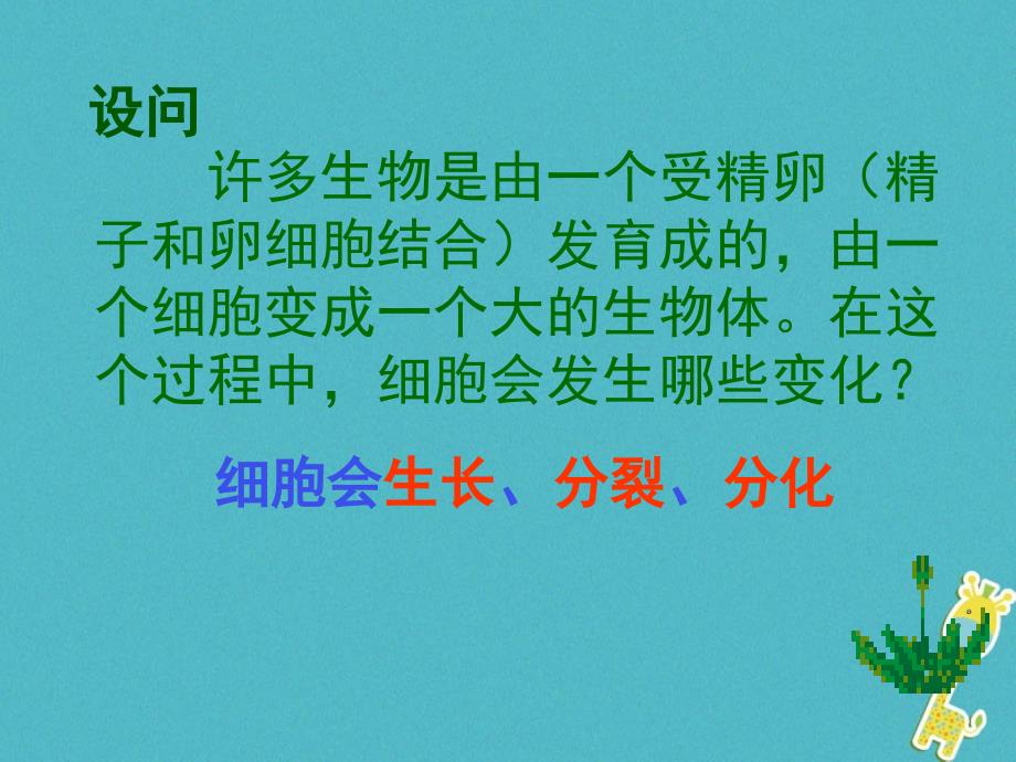 安徽省合肥市长丰县七年级生物上册2.2.1《细胞通过分裂产生新细胞》课件4（新版）新人教版_第3页