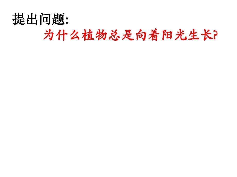 浙教版八年级科学上册第三章第一节《植物生命活动的调节》共28张_第5页