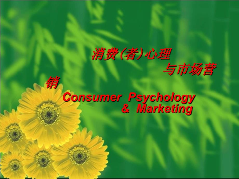 广告心理学广告心理学消费心理概述_第1页