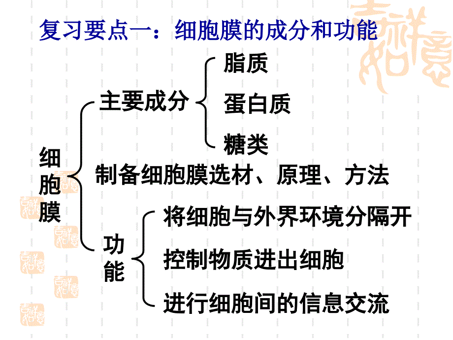 高中生物必修一第三章复习_第2页