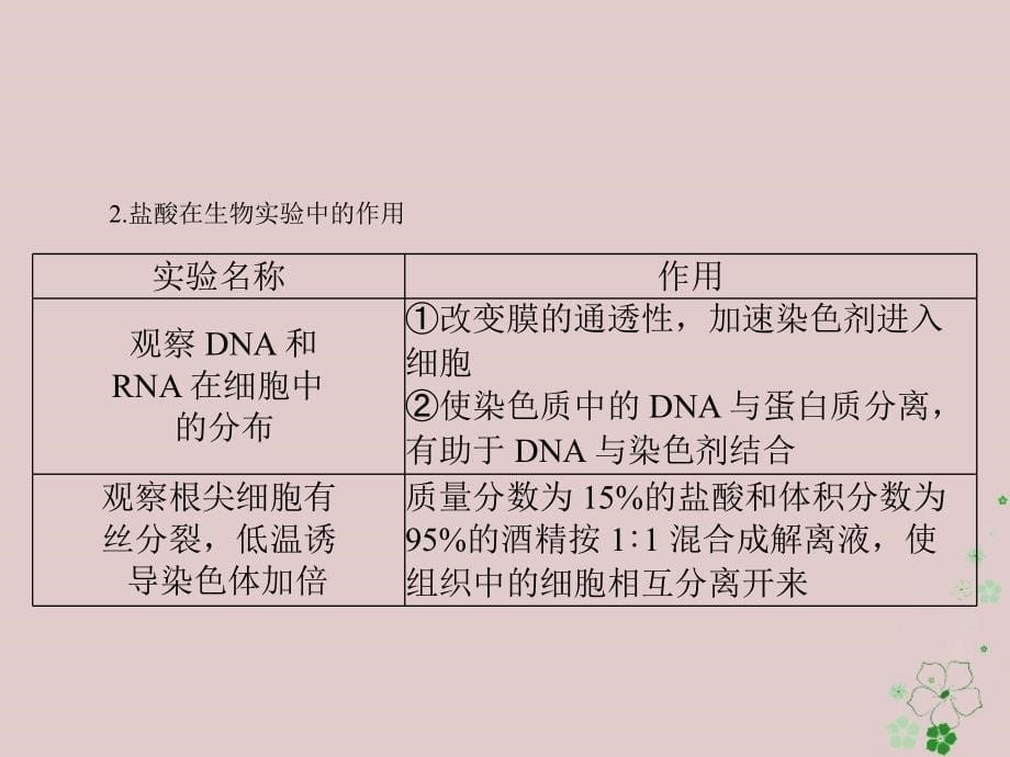 2019版高考生物一轮总复习实验技能实验总攻略课件_第5页