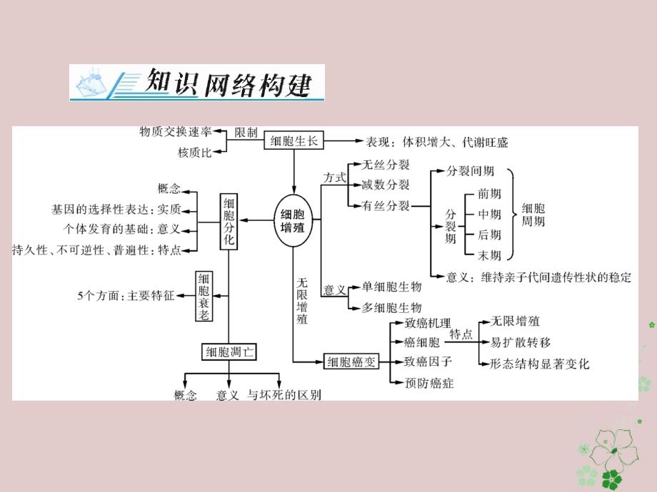 2019版高考生物一轮总复习第6章细胞的生命历程章末知识提升课件必修1_第2页