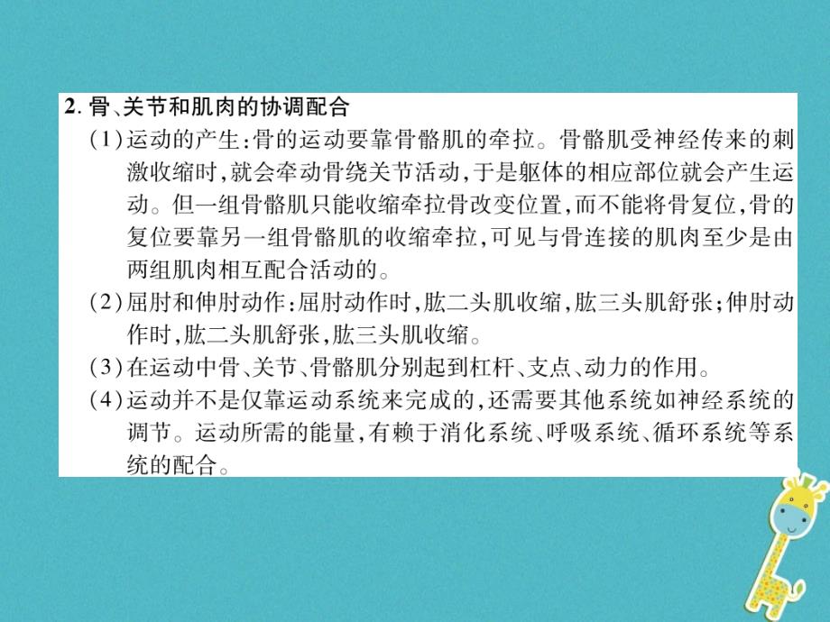 2018年八年级生物上册第5单元第2章第1节动物的运动练习课件（新版）新人教版_第3页
