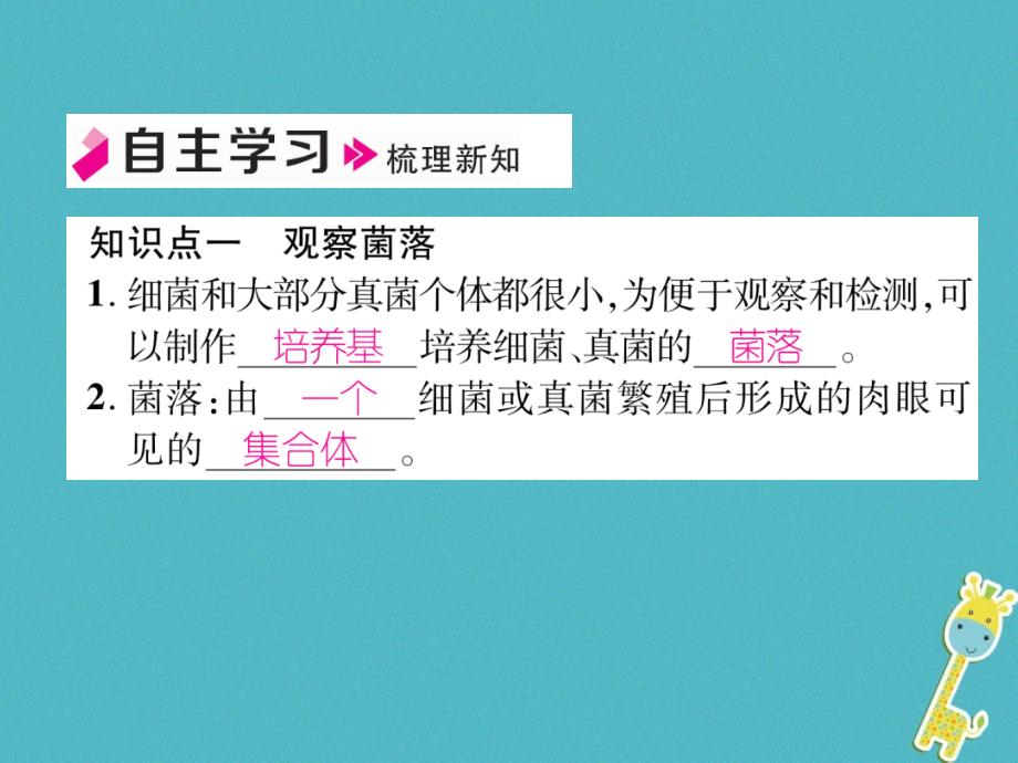 2018年八年级生物上册5.4.1细菌和真菌的分布作业课件（新版）新人教版_第3页