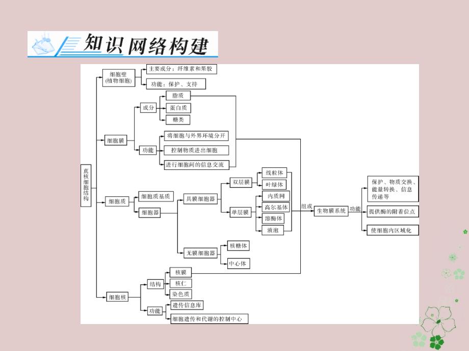 2019版高考生物一轮总复习第3章细胞的基本结构章末知识提升课件必修1_第2页